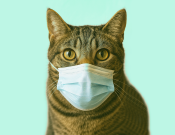 خانم در رخت خواب خوابیده قمقمه هیدروژن ساز هانوفل HANOFEL معجزه جوانی